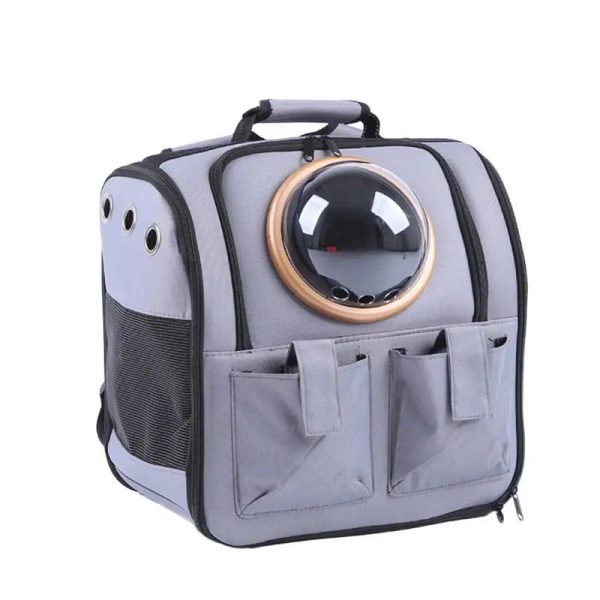 sac chat transport